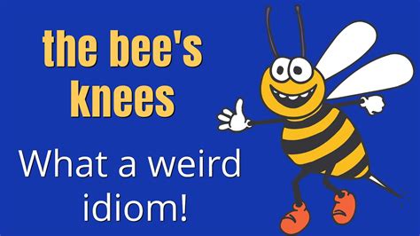 The Bees Knees A Lesson In False Idiom Origins Folk Etymology Youtube