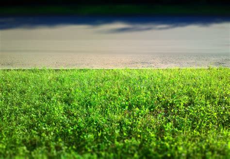 Green Grass On Road Sidewalk City Background Stock Image Image Of Horizontal Background