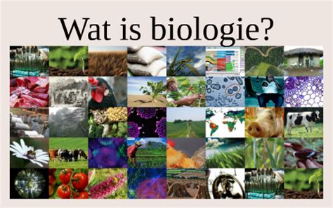 Wat Is Biologie By RPJ Peters