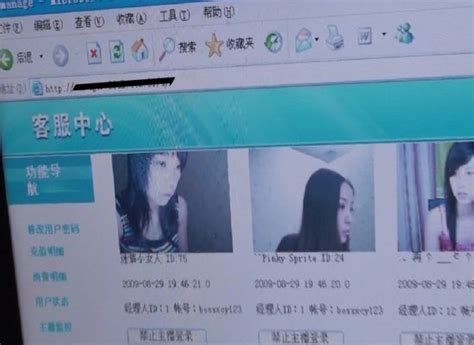 湖北警方破获网络淫秽表演犯罪团伙 组图 新闻中心 新浪网