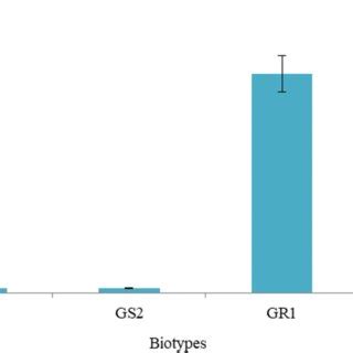 The EPSPS Gene Copy Numbers Of GR And GS A Palmeri Biotypes From