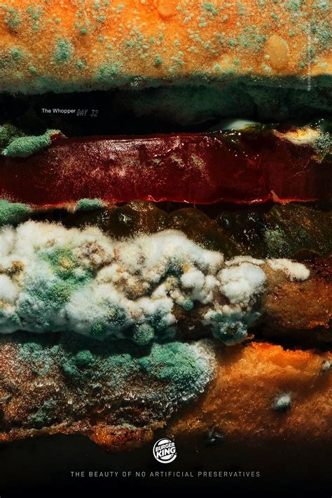 Burger King The Moldy Whopper • Ads Of The World™ Part Of The Clio Network