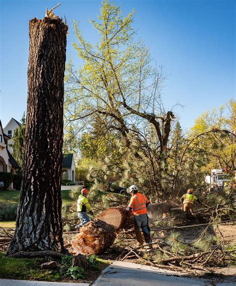 Windstorm damage - April 19, 2021 | The Spokesman-Review