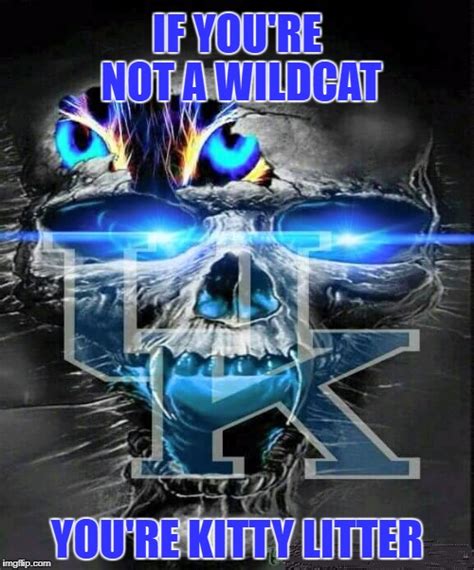 Kentucky Wildcats Imgflip