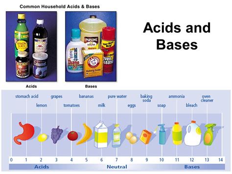 Acids And Bases You Can Find At Home Home Rulend