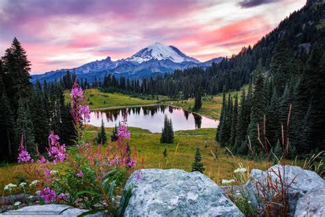 Mount Rainier Np Wallpapers Wallpaper Cave