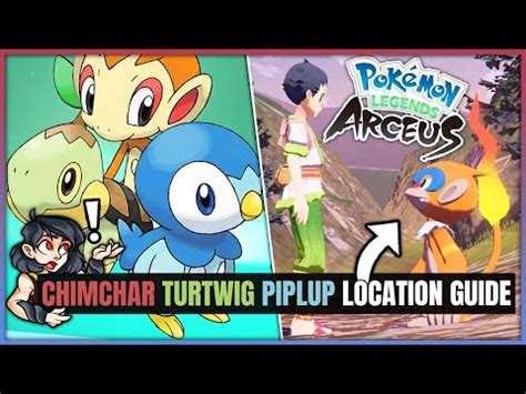 Pokemon Legends Arceus How To Catch Turtwig GameRiv