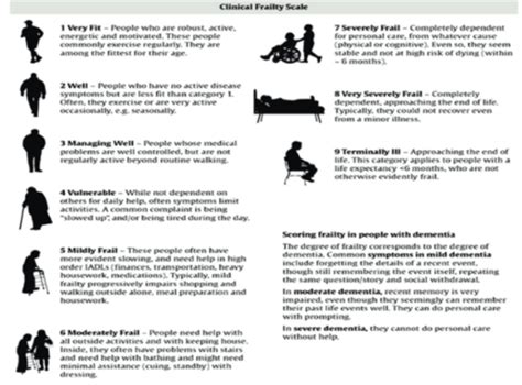 Puberty Transitions Flashcards Quizlet