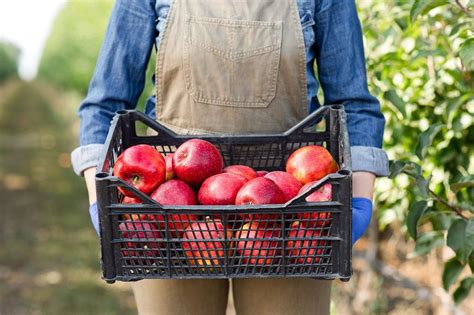 Semangat Petani Milenial Di Hari Kebangkitan Nasional