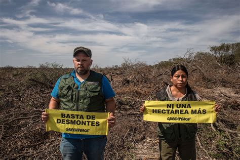 Fundación Greenpeace Argentina Greenpeace Advierte Que A Pesar De La