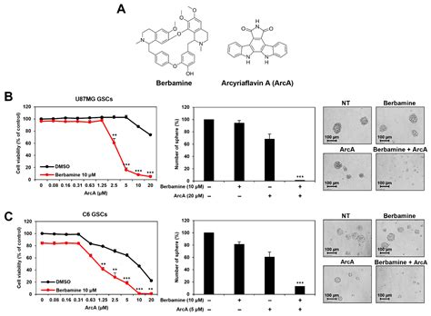 Molecules Free Full Text Synergistic Anticancer Effect Of A