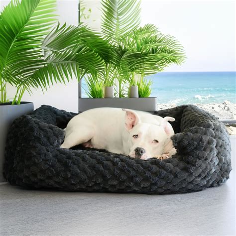 Orthopedic Dog Beds | Therapeutic Memory Foam for All Breeds - Animals ...