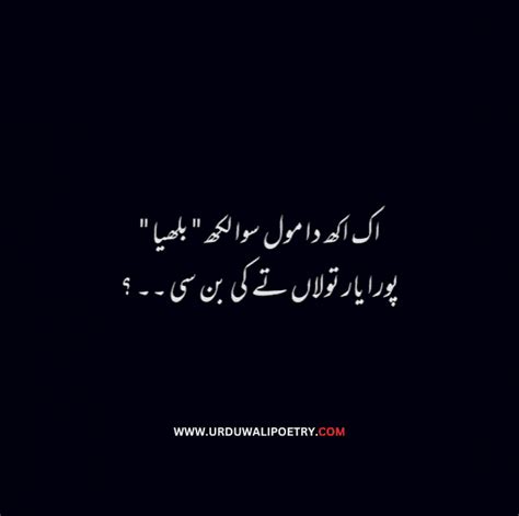 Best Punjabi Poetry in Urdu Lines | Punjabi Quotes in Urdu ...