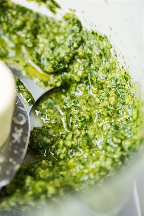 Homemade Basil Pesto Recipe Little Spice Jar