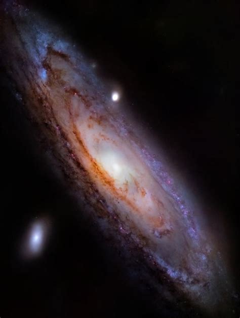 Andromeda Galaxy / NGC 224 / Messier 31 - Starless Photograph by ...