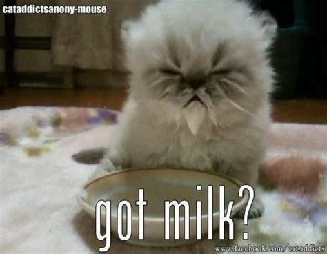 17 Best Images About Got Milk On Pinterest Milk Signs And Jonathan