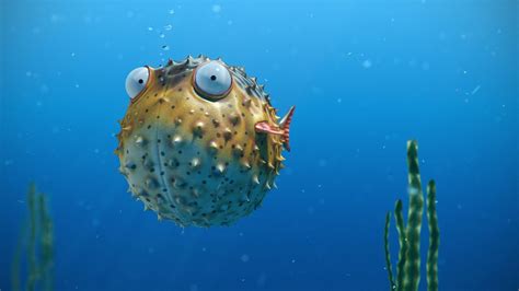 Pufferfish Wallpapers - Top Free Pufferfish Backgrounds - WallpaperAccess