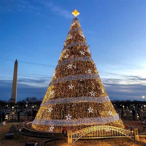 Christmas Tree In Washington State 2024 Christmas Presents Box 2024