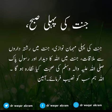 rajo rajoka