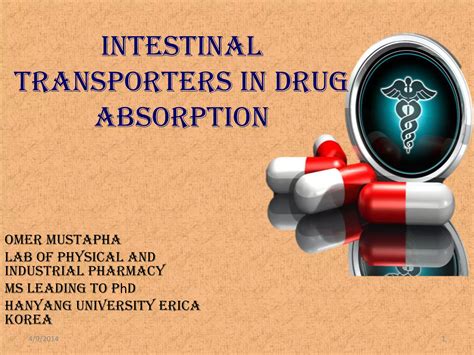 Intestinal Transporters In Drug Absorption Ppt