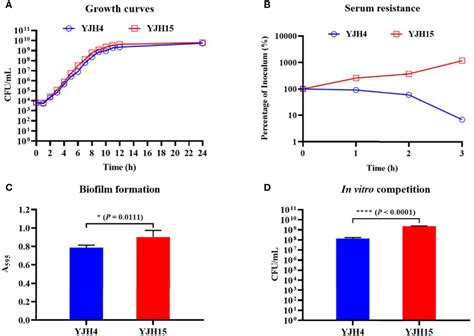 Frontiers Phenotypic Changes Associated With In Vivo Evolution Of