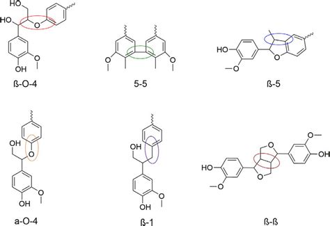 Common Interunit Linkages Within Lignin Macromolecules Download Scientific Diagram