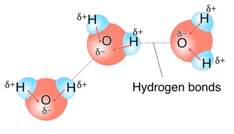 Polar Water Molecule Diagram