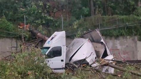 Árvore cai em caminhão e interdita rodovia Anchieta no sentido litoral