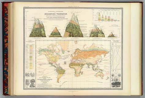 Vivid Maps In 2024 Cartography Illustrated Map Old Maps