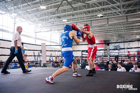 Press Release Ontarios Provincial And Novice Boxing Champions Crowned