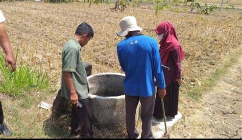 Genjot Produksi Kementan Bersama Stakeholder Pertanian Atasi Dampak