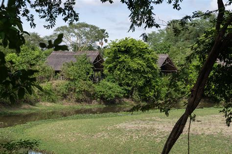 Mvuu Lodge Safarireiser No