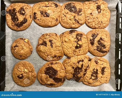 Homemade Chocolate Chip Cookies On Oven Tray Stock Image Image Of