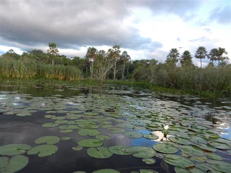 Ibera Wetlands Best Places To Visit Tripadvisor