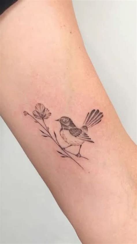 Willie Wagtail Tattoo In Wagtail Tattoo Small Bird Tattoo Tattoos