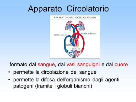 Parametri Vitali Modulo Lezione D Croce Rossa Italiana Ppt Scaricare