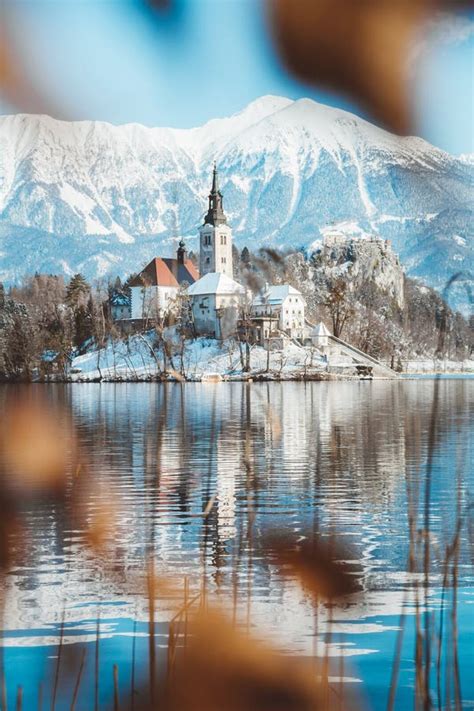 Lago Bled Con Isla Bled Y Castillo Al Amanecer En Invierno Eslovenia