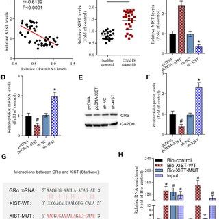 XIST negatively regulates GRα expression A Pearson s correlation