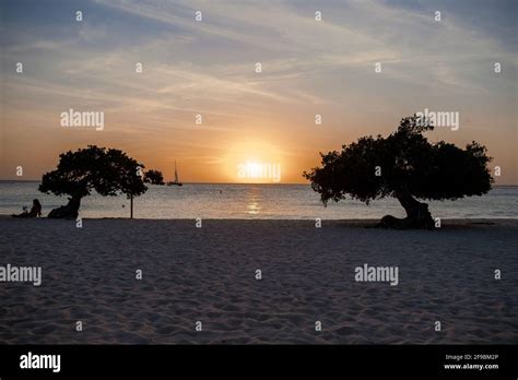 Sunset At Eagle Beach Aruba Divi Dive Trees On The Shoreline Of Eagle