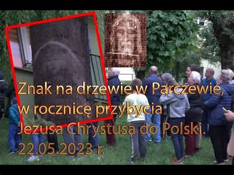 Znak na drzewie w Parczewie w rocznicę przybycia Jezusa Chrystusa do