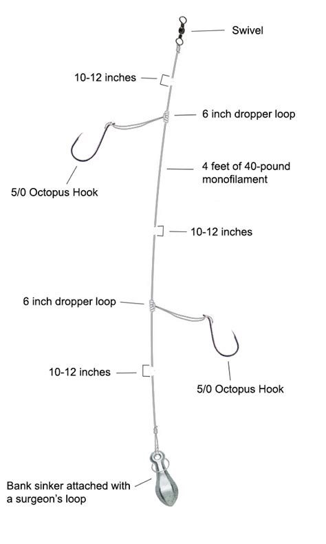 High Low Rigs The Two Hook Rig