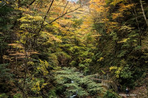 梅ヶ島『安倍の大滝』を目指してyoshiさん αcafe αの写真投稿サイト ｜ ソニー