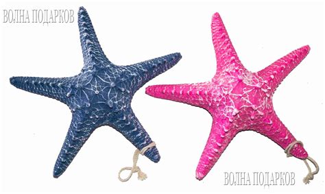 Декоративные морские звезды (2 штуки) | купить в Подарки.ру