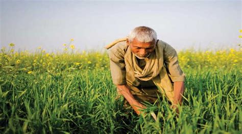 भारत ऑस्ट्रेलिया किसानों के लाभ के लिए मिलकर काम करेंगे