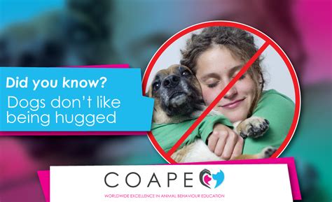 Top Training Tip: Why you shouldn't hug your dog - COAPE