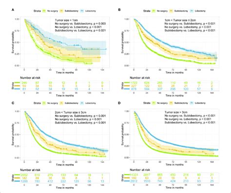 Kaplan Meier Estimates Of Os For Stage Iiian2 Nsclc Patients With Download Scientific