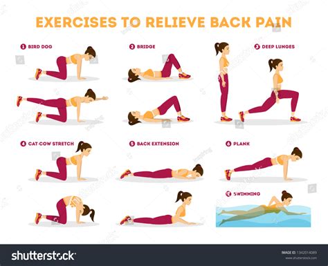 Exercise Set Relieve Back Pain Stretching Stock Vector (Royalty Free ...