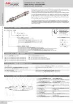 V Rin Pneumatique Mx Airwork Pneumatic Equipment Piston