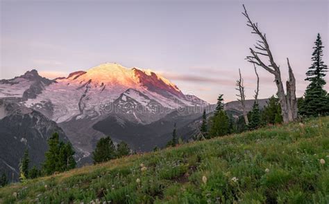 Mt Rainier National Park at Sunrise Stock Image - Image of cloud, hike: 158261049