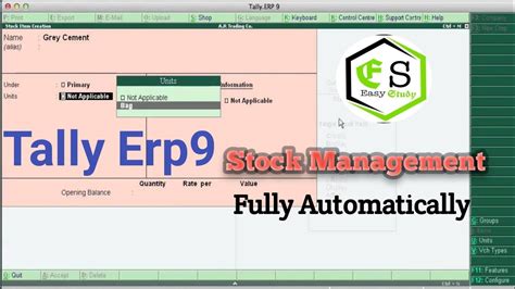 Tally Erp Accounts With Inventory Basic Class Stock Management In